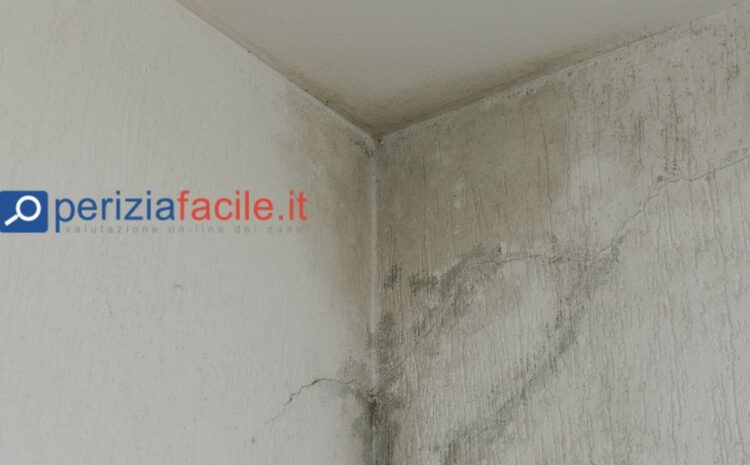 Il vicino dimentica il rubinetto aperto: appartamento allagato.