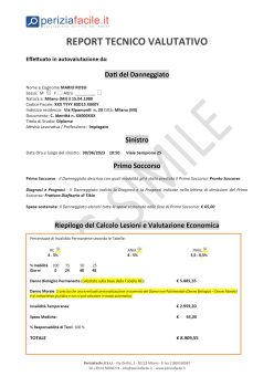 Report Tecnico Valutativo con Note Fac-Simile - Pag. 1
